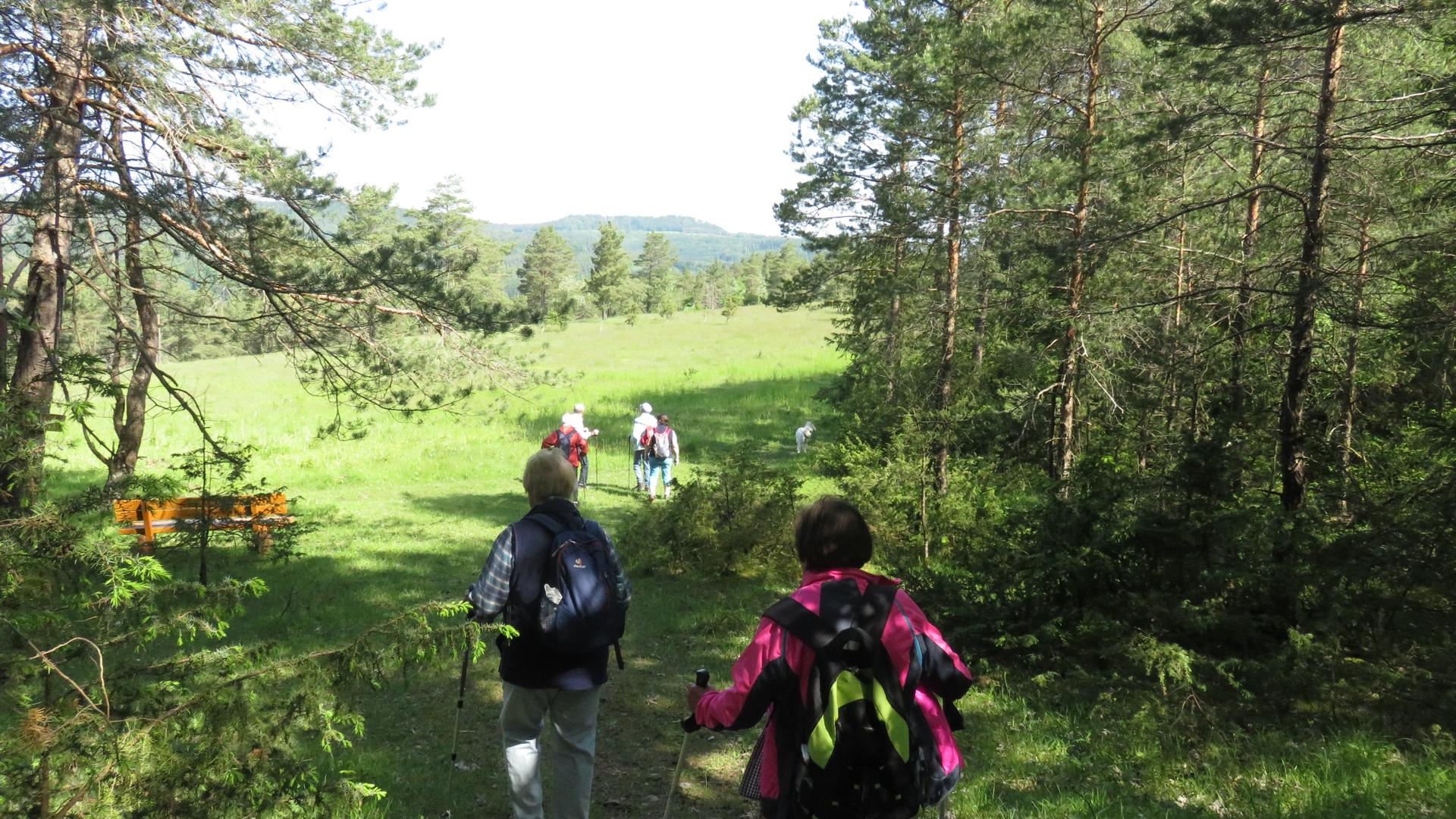 Wandergruppe Wohnsig | © DAV Kulmbach Wandergruppe