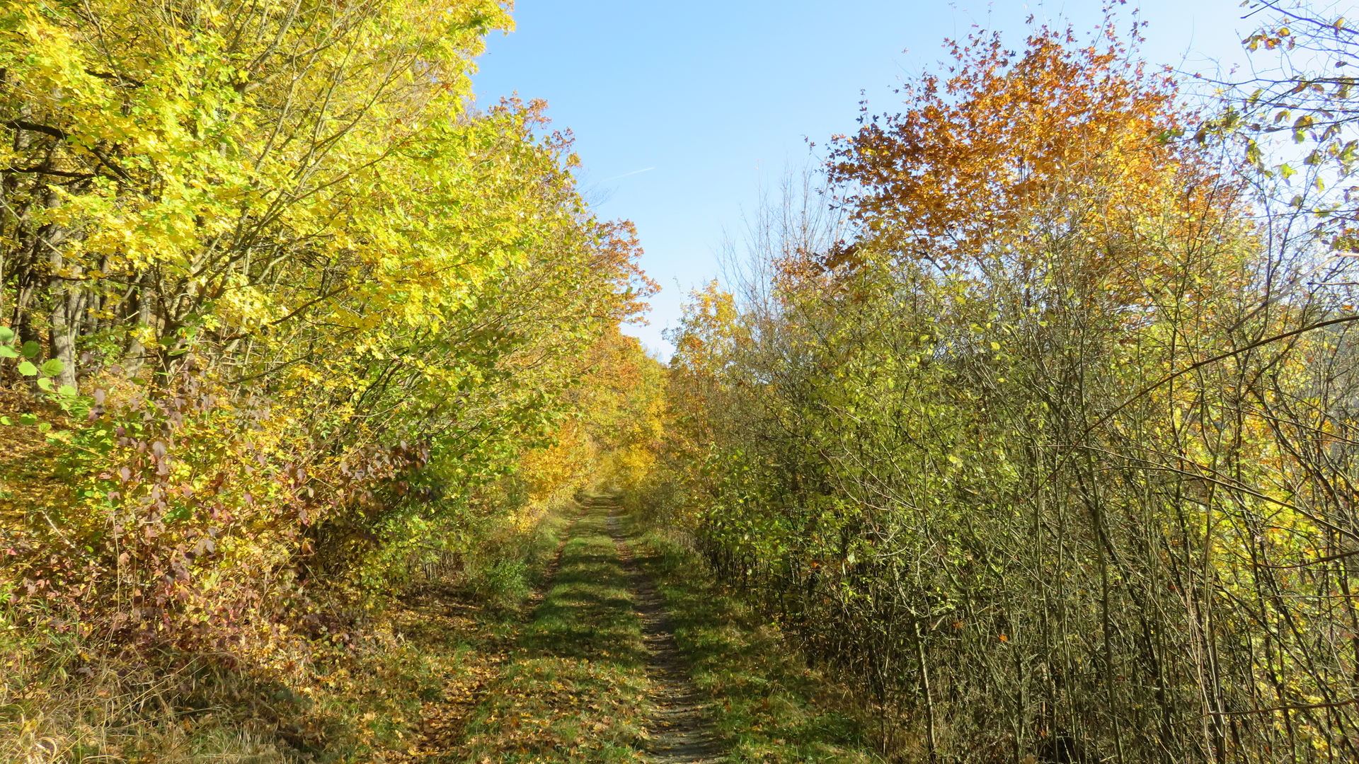 Wandergruppe Herbst 1 | © DAV Kulmbach Wandergruppe