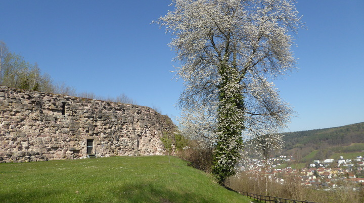 Wandergruppe Frühling 3 | © DAV Kulmbach Wandergruppe