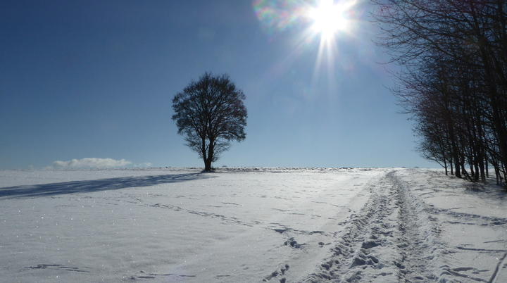 Wandergruppe Winter 3 | © DAV Kulmbach Wandergruppe