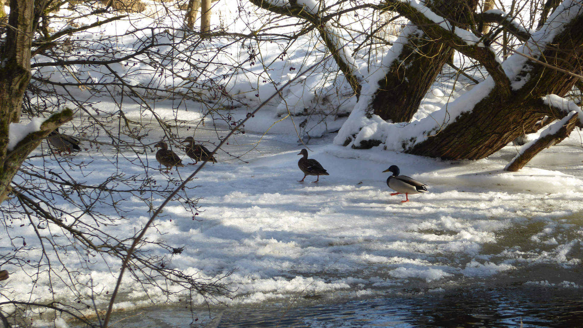 Wandergruppe Winter 9 | © DAV Kulmbach Wandergruppe